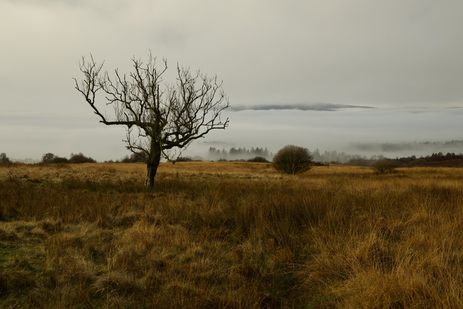 Trip photo, day 2 - Drymen, Scotland.
