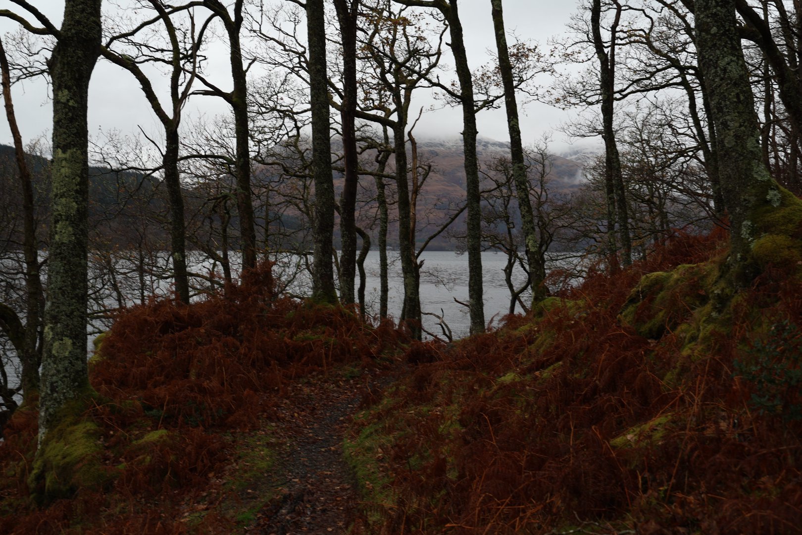 Trip photo, day 3 - 40 km northwest of Glasgow, Scotland.