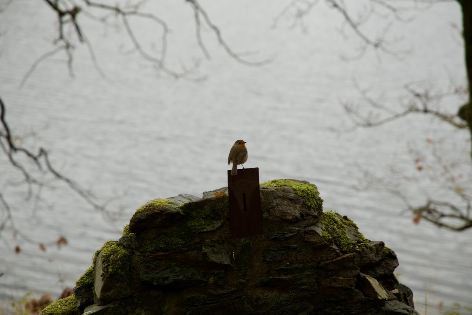 Trip photo, day 3 - 40 km northwest of Glasgow, Scotland.