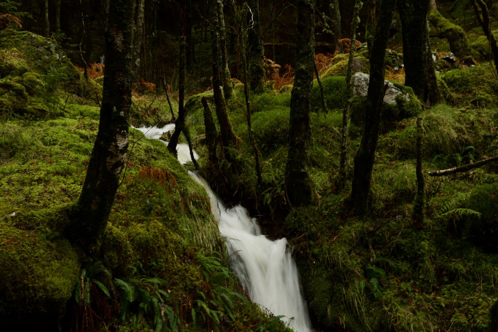 Trip photo, day 3 - 40 km northwest of Glasgow, Scotland.