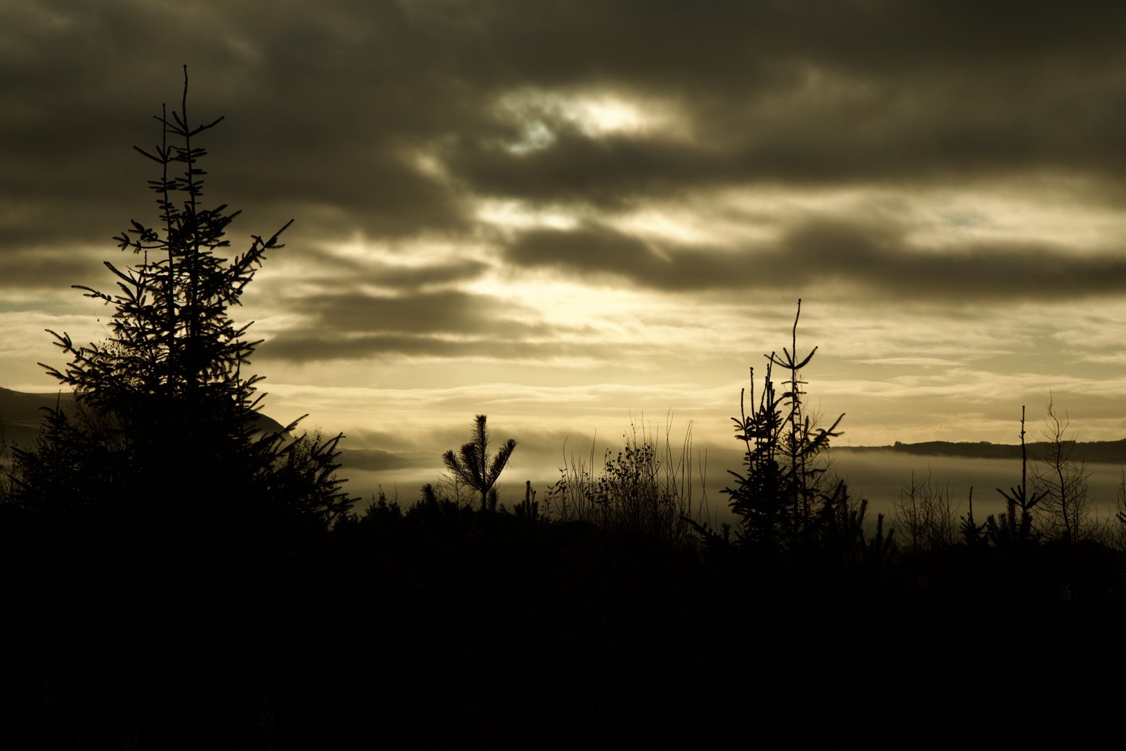 Trip photo, day 2 - Drymen, Scotland.