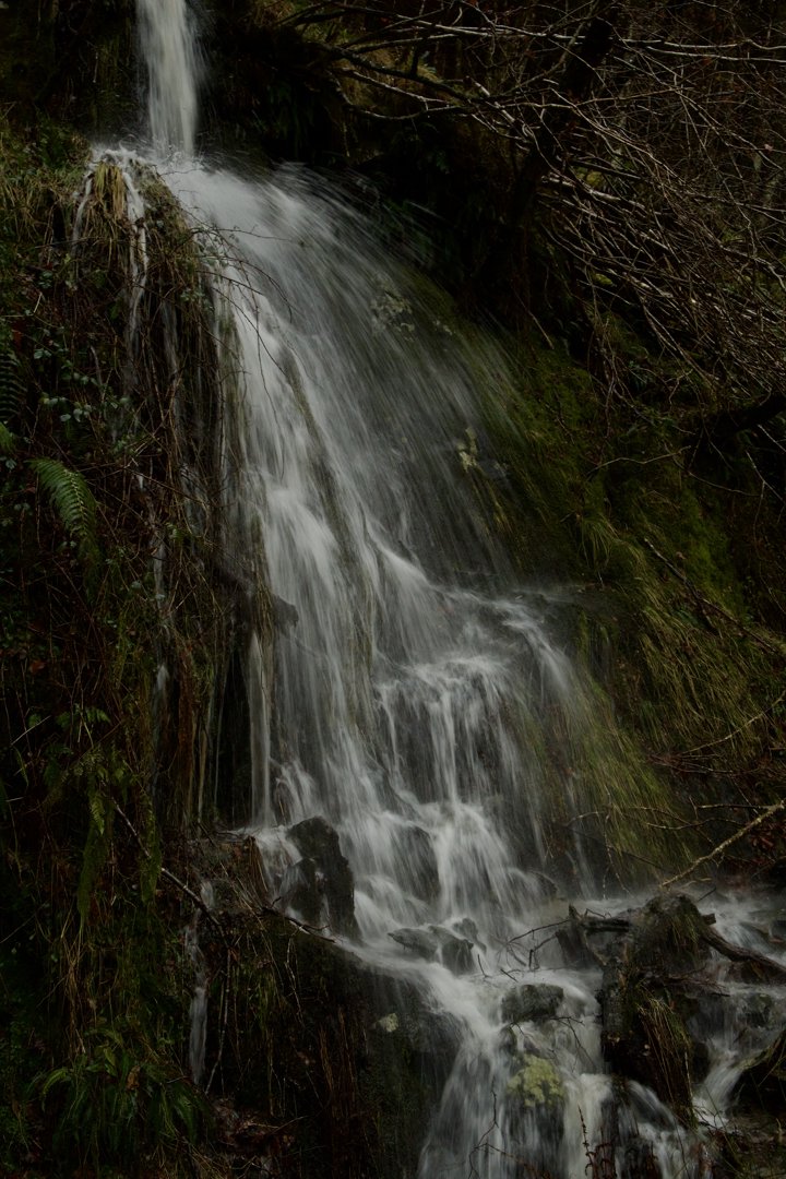 Trip photo, day 3 - 40 km northwest of Glasgow, Scotland.