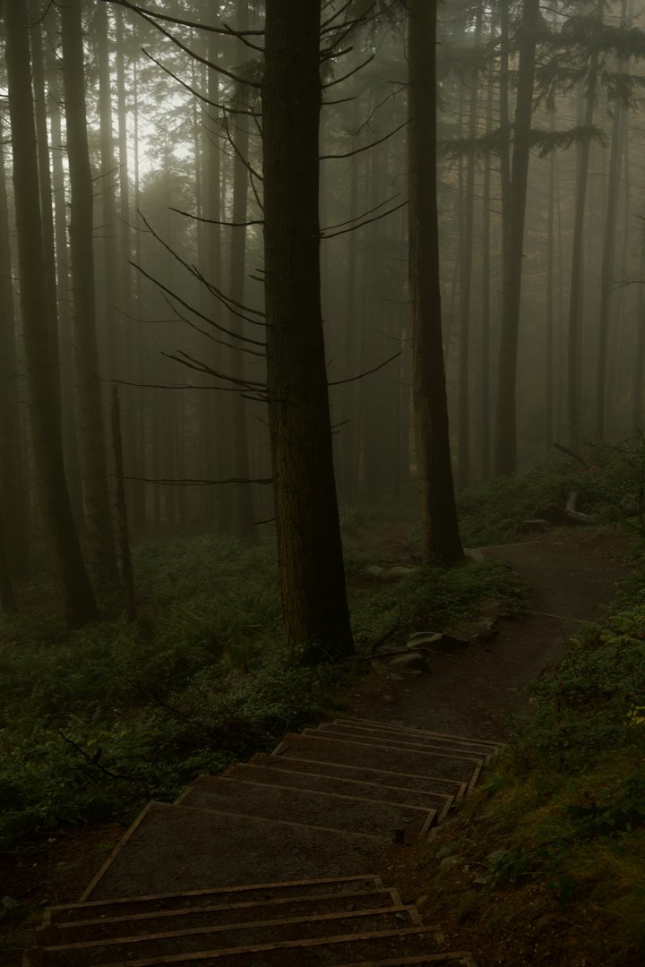 Trip photo, day 2 - Drymen, Scotland.